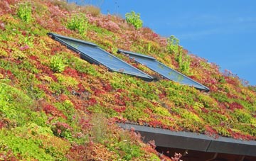 Parr Brow living roof systems