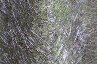 Parr Brow fibreglass roof work